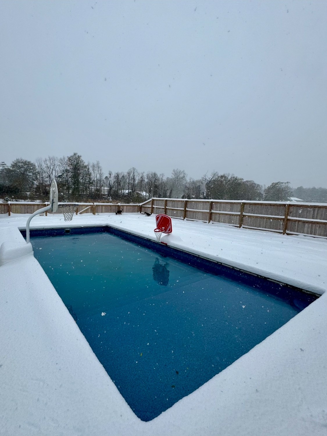 Finished Precision fiberglass pool in the snow